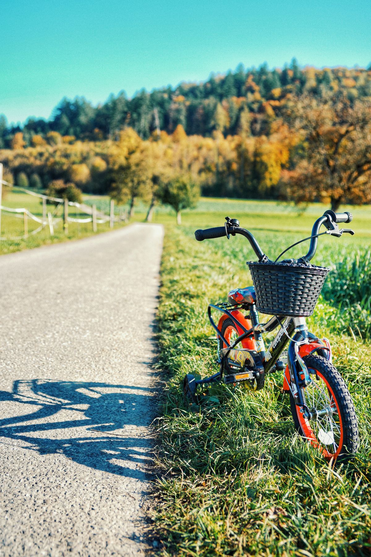 Bicicleta em meio a �rvores e natureza - aventura e explora��o