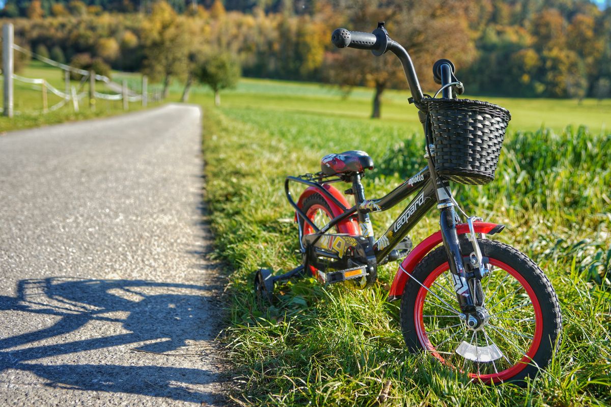 Pais com crian�a pedalando em parque ensolarado - contexto familiar da bicicleta infantil