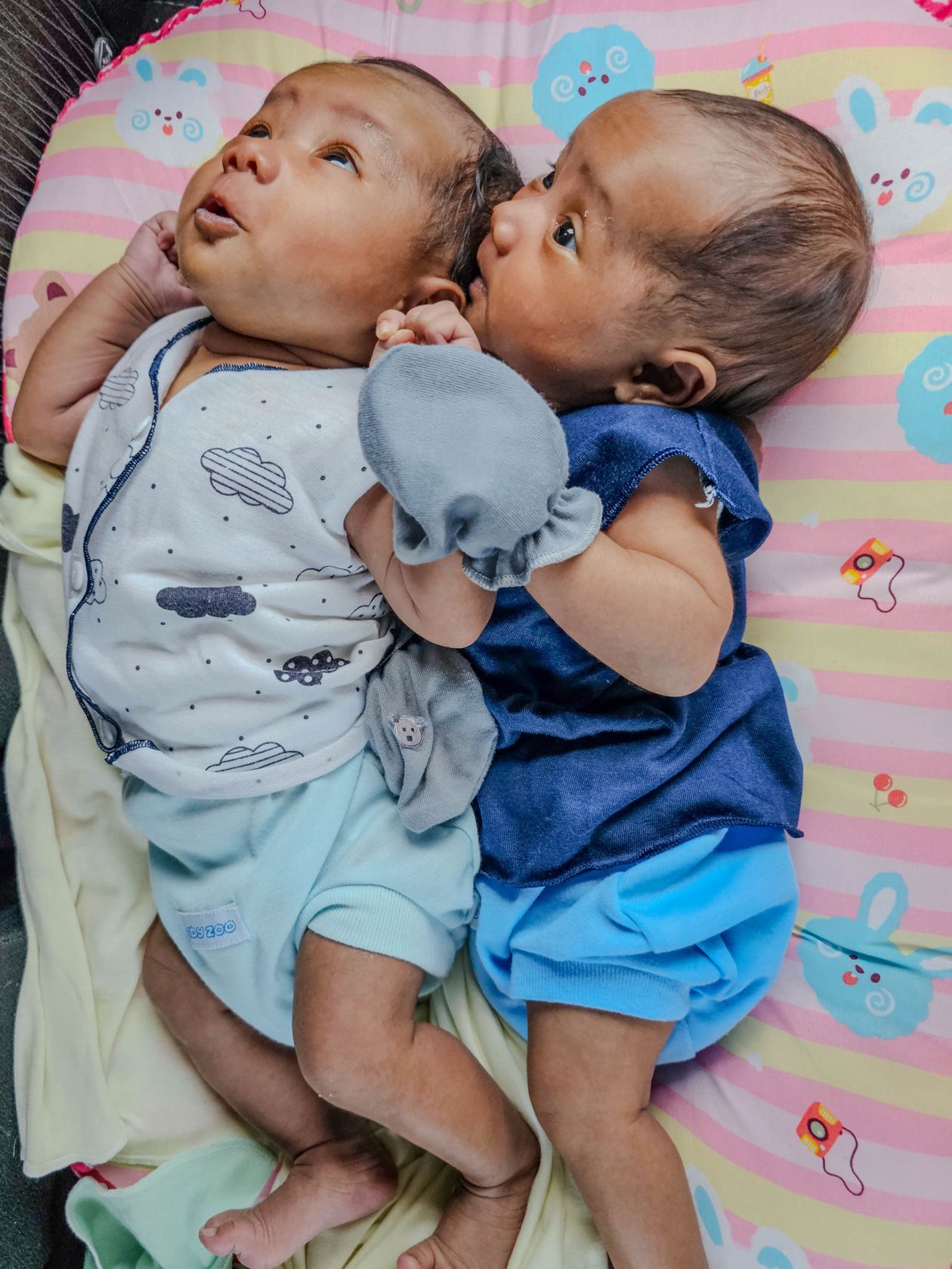 Bebês deitados em um berço, contexto de melhor mosquiteiro para bebê