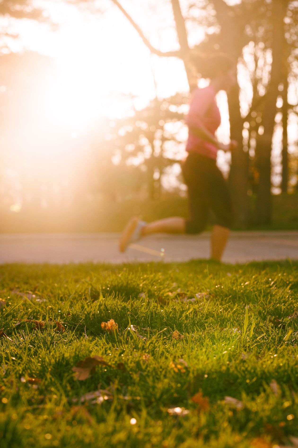 Mulher correndo em parque ao amanhecer com tênis feminino, contexto de tênis fila bem avaliados para corrida feminino
